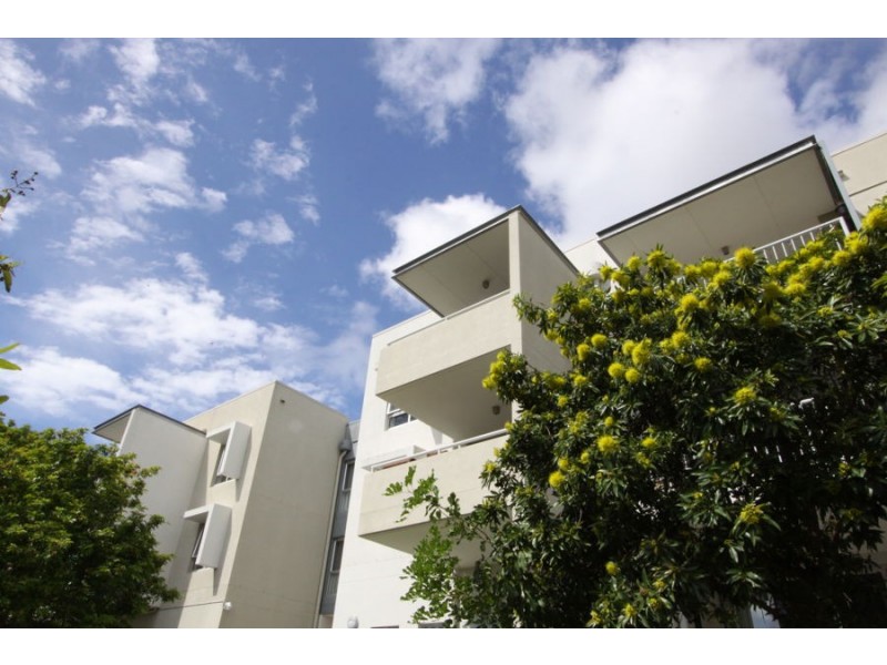 13/1 Arbour Avenue, Robina QLD 4226