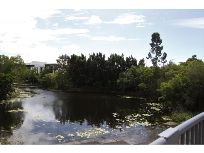 13/1 Arbour Avenue, Robina QLD 4226