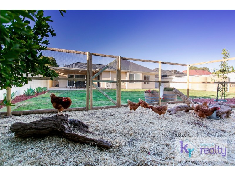 71 Aver Avenue, Daw Park SA 5041