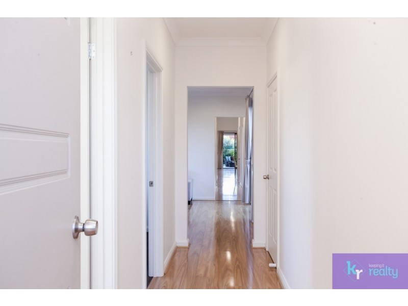 49 Nelson Street, South Plympton SA 5038