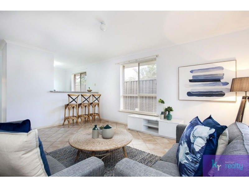 17 Gemini Court, Modbury Heights SA 5092