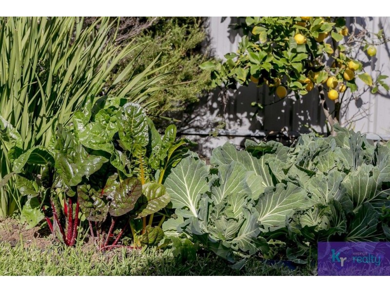 5/12 West Street, Ascot Park SA 5043