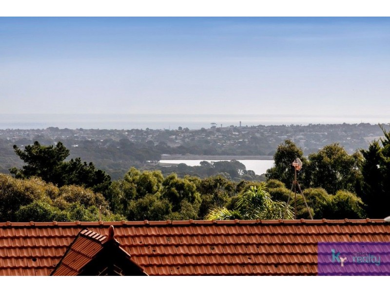 11 Highfield Drive, Aberfoyle Park SA 5159