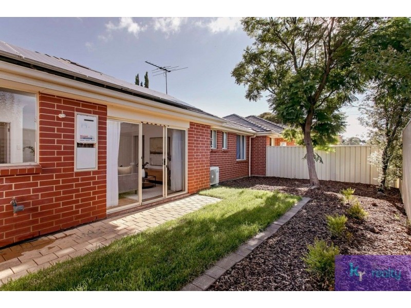 19A Daisy Avenue, Mitchell Park SA 5043