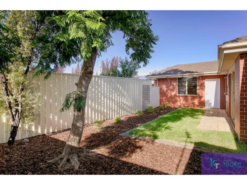 19A Daisy Avenue, Mitchell Park SA 5043