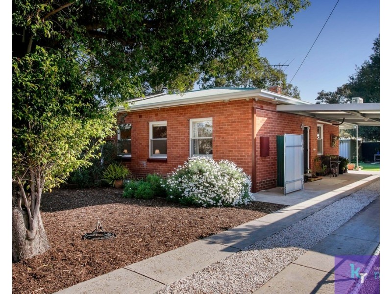 19 Tyne Avenue, Kilburn SA 5084