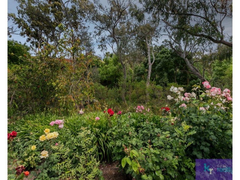 7 Shepherd Court, Coromandel Valley SA 5051