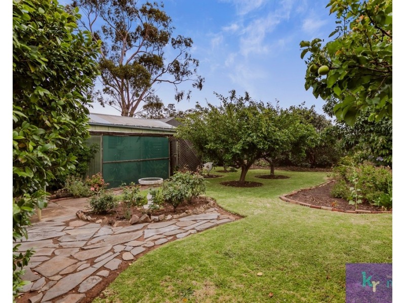 20 Hay Street, Lower Mitcham SA 5062
