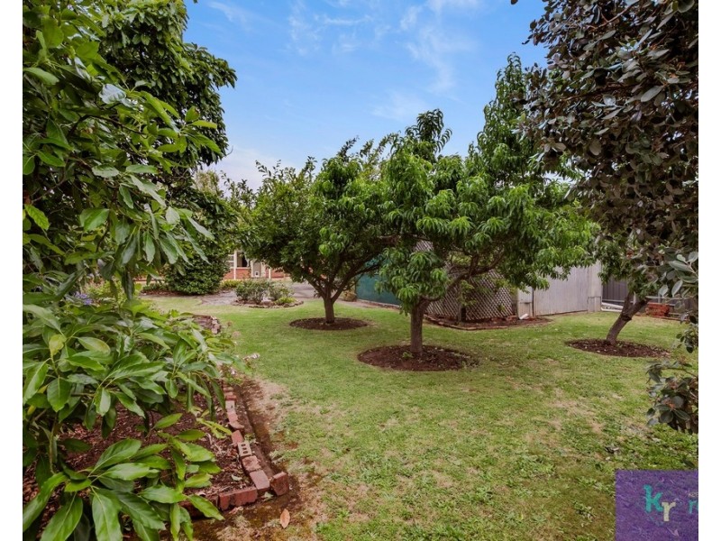 20 Hay Street, Lower Mitcham SA 5062