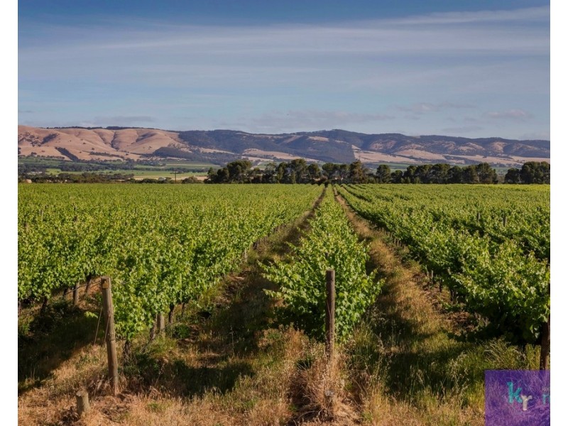 15 Ningana Road, Aldinga Beach SA 5173