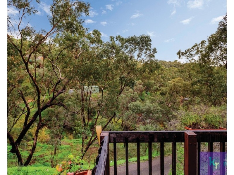 19 Ash Avenue, Belair SA 5052
