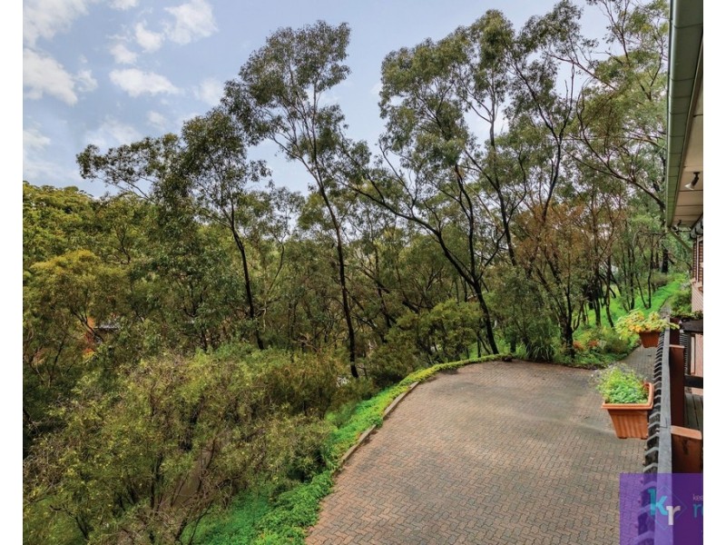 19 Ash Avenue, Belair SA 5052