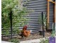 2 Tern Place, Semaphore Park SA 5019