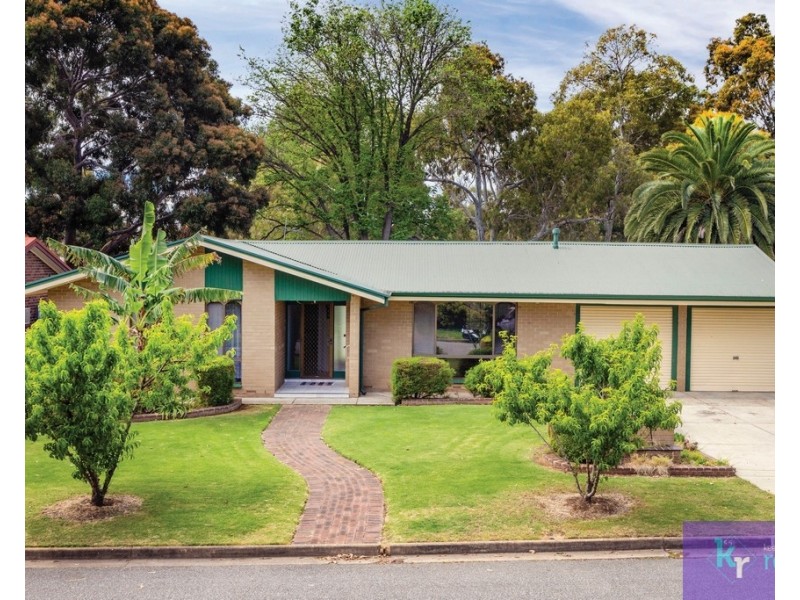 55 Parsons Street, Marion SA 5043