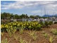 /6 Apollo Quay, Trinity Park QLD 4879
