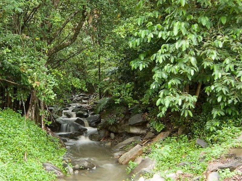 /8 Seclusion Drive, Palm Cove QLD 4879
