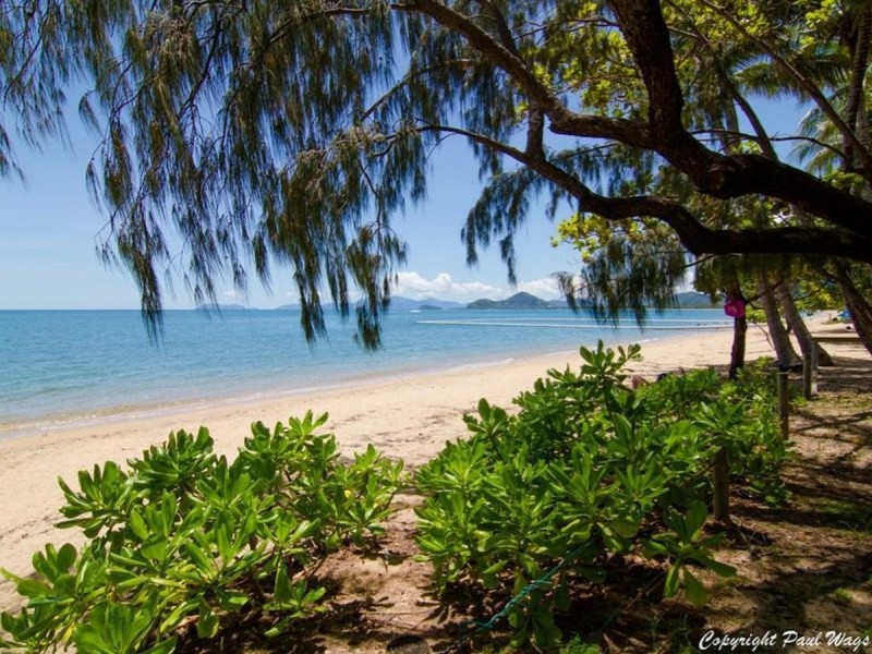 /8 Seclusion Drive, Palm Cove QLD 4879