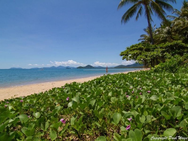 /Lot 4 Triton Street, Palm Cove QLD 4879