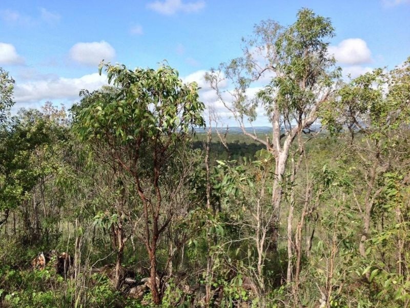 /219 Godfrey Road, Mareeba QLD 4880