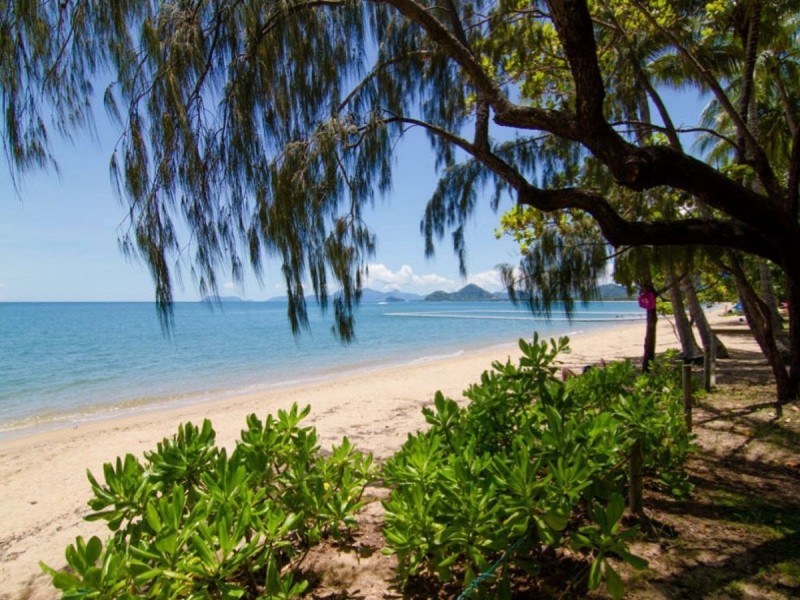 /1 Billingai Close, Palm Cove QLD 4879