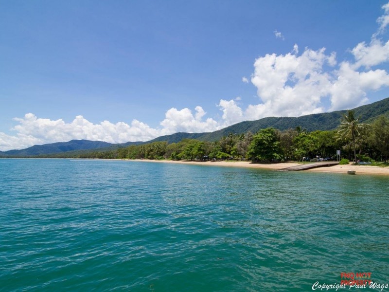 /3 Retreat Close, Palm Cove QLD 4879