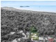 /34-36 Thrush Terrace, Clifton Beach QLD 4879