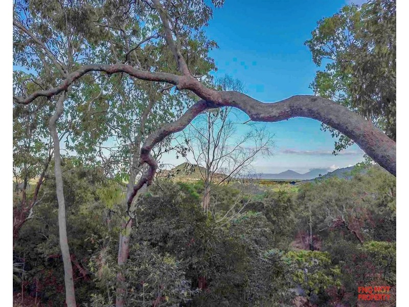 /29-31 Waterview Close, Kewarra Beach QLD 4879