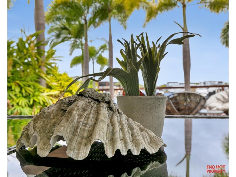 /61 Harbour Drive, Trinity Park QLD 4879