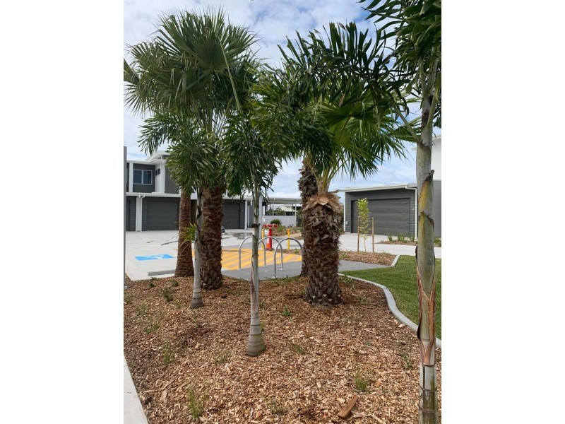 Mountain Creek QLD 4557