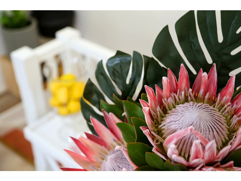 1 Warilda Street, Saratoga NSW 2251