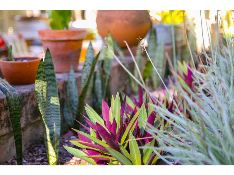 76 Kallaroo Road, Bensville NSW 2251