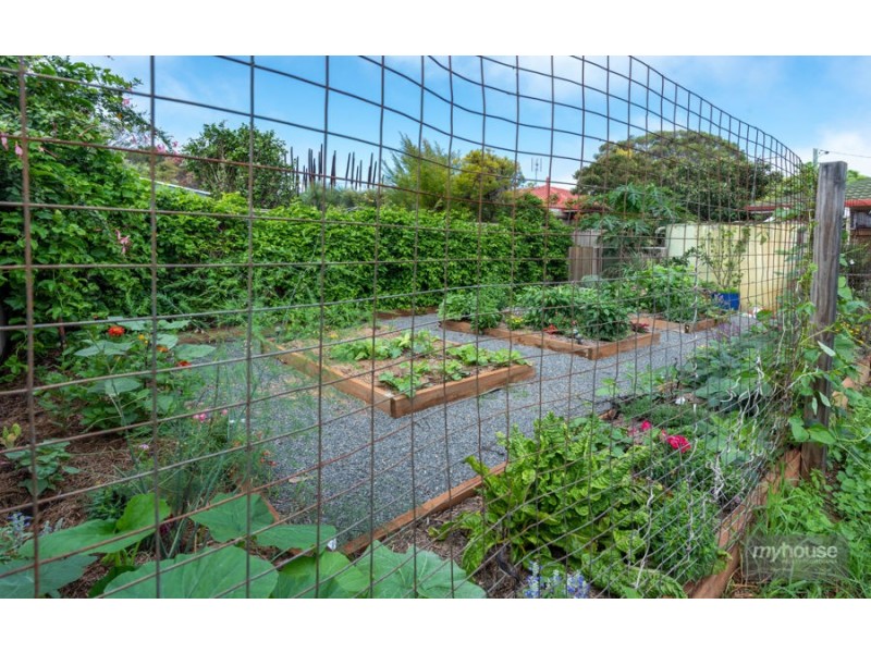 10 Obst Street, Harristown QLD 4350