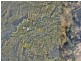 Lot 4 Meadows Road, Withcott QLD 4352
