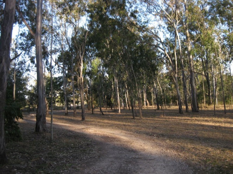 20 Lorikeet Lane, Murphys Creek QLD 4352