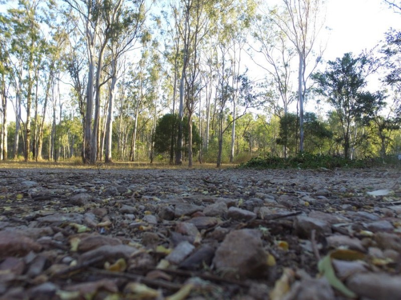 20 Lorikeet Lane, Murphys Creek QLD 4352