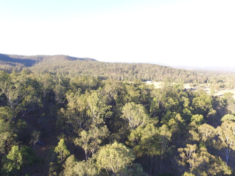 20 Lorikeet Lane, Murphys Creek QLD 4352