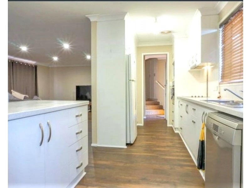 16 Hazel Street, Centenary Heights QLD 4350