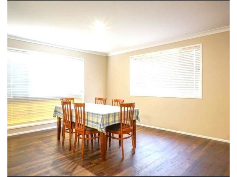 16 Hazel Street, Centenary Heights QLD 4350