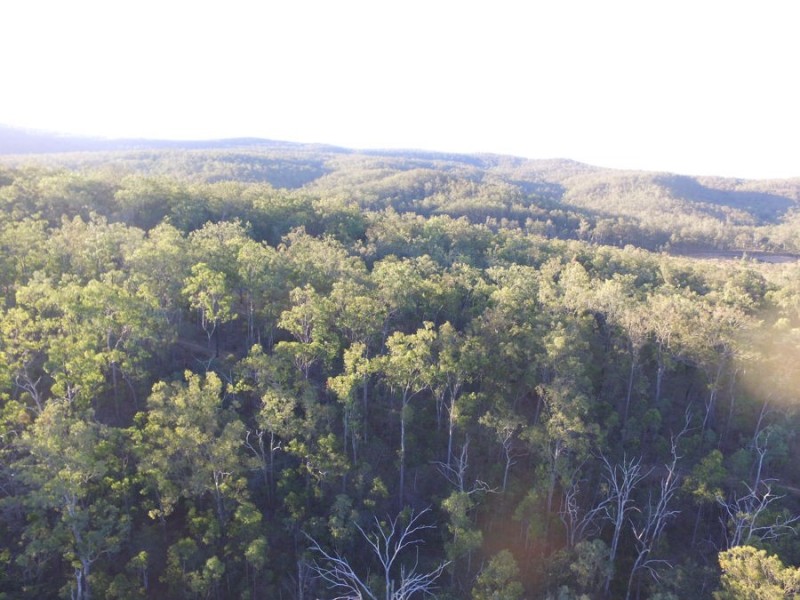 20 Lorikeet Lane, Murphys Creek QLD 4352