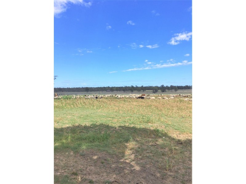 176 Spiers Creek Road, Millmerran QLD 4357
