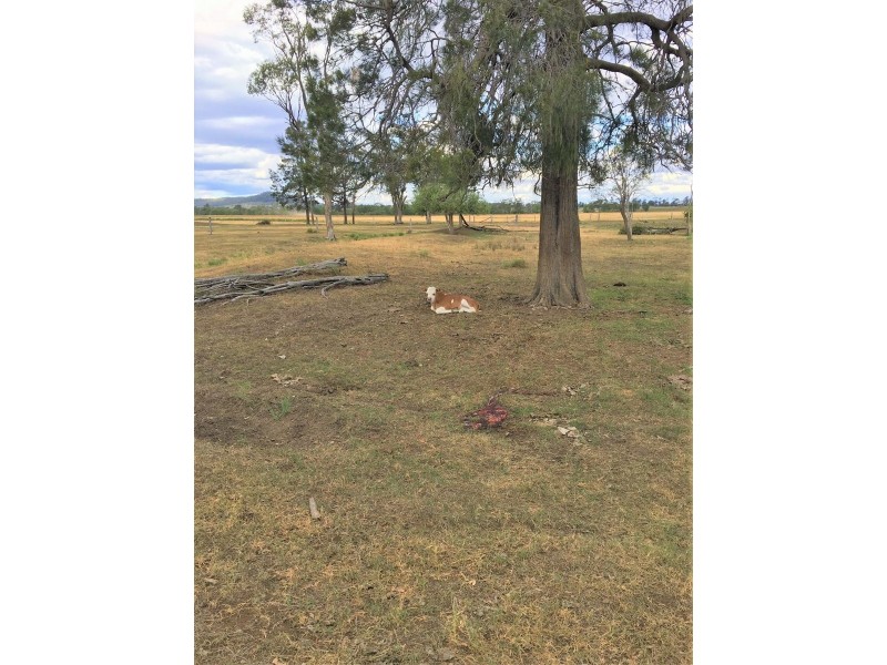 176 Spiers Creek Road, Millmerran QLD 4357
