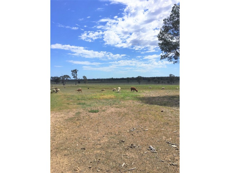 176 Spiers Creek Road, Millmerran QLD 4357
