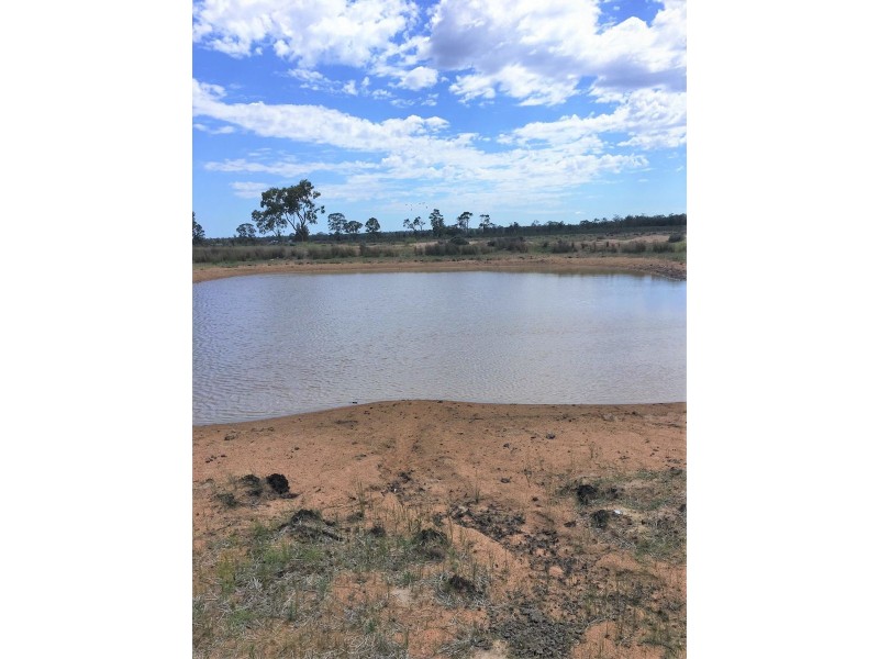 176 Spiers Creek Road, Millmerran QLD 4357