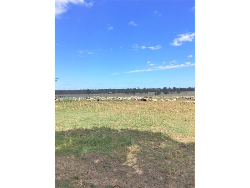 176 Spiers Creek Road, Millmerran QLD 4357