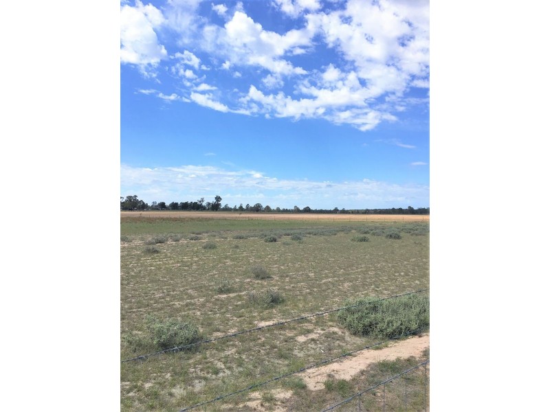 176 Spiers Creek Road, Millmerran QLD 4357