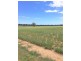 176 Spiers Creek Road, Millmerran QLD 4357