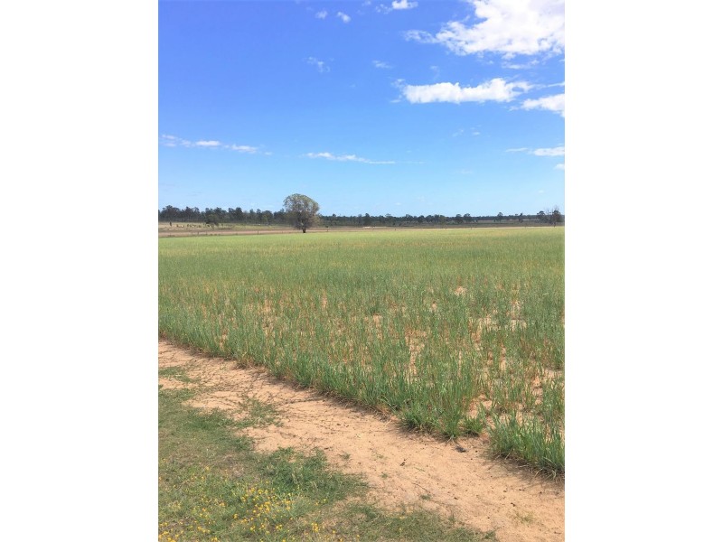 176 Spiers Creek Road, Millmerran QLD 4357