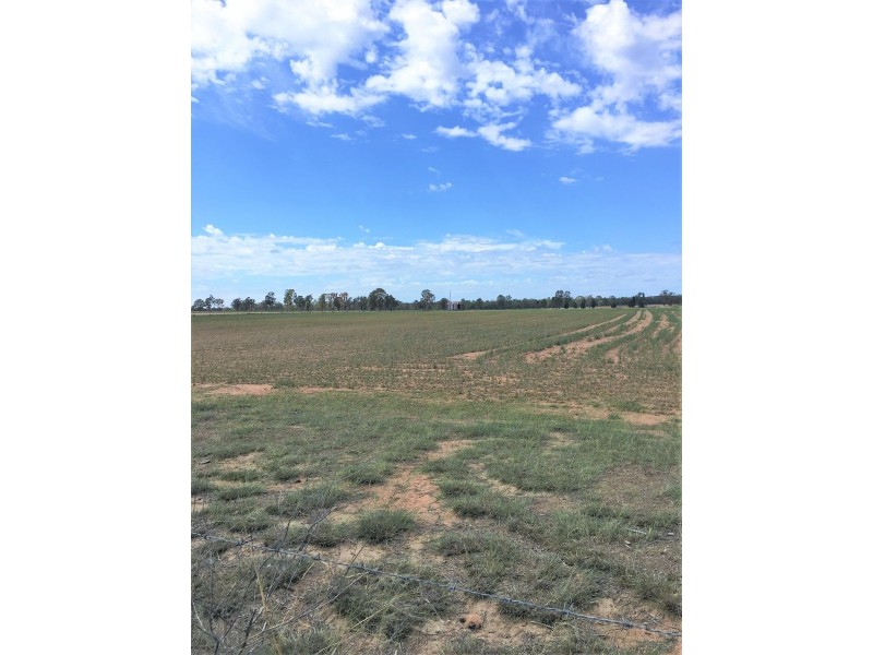 176 Spiers Creek Road, Millmerran QLD 4357