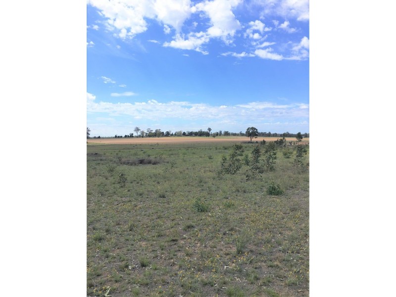 176 Spiers Creek Road, Millmerran QLD 4357