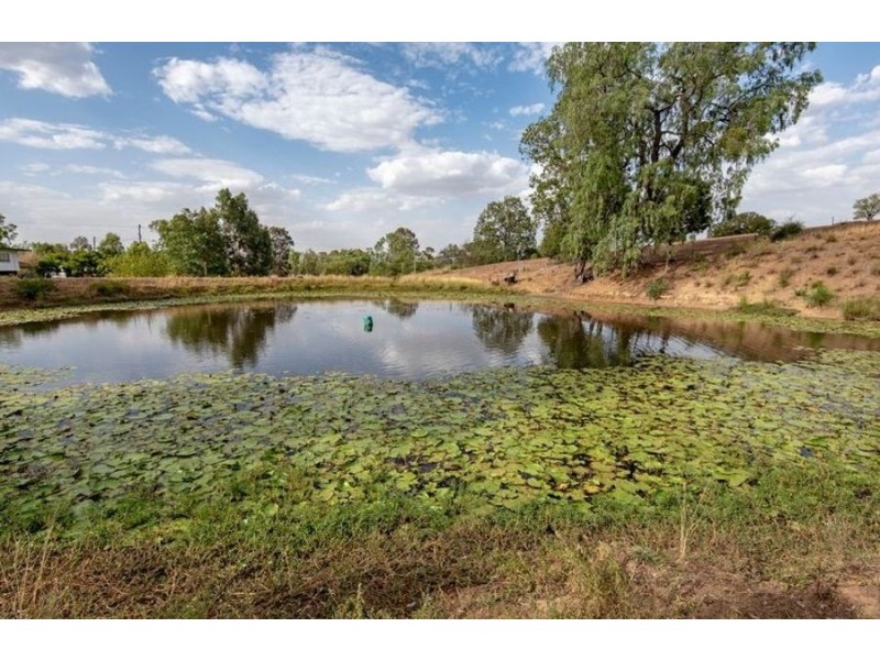 20 Dolleys Road, Withcott QLD 4352